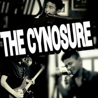 the cynosure
